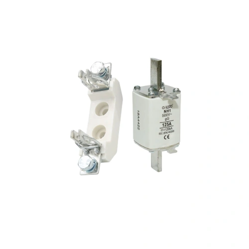 NH Fuse 125A & NH Holder